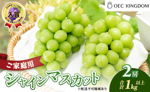ぶどう 2026年 先行予約 ［ご家庭用］ シャイン マスカット 2房（合計1kg以上）  ブドウ 葡萄  岡山県産 国産 フルーツ 果物 OEC KINGDOM ぶどう家 果物類  1040636 - 岡山県玉野市