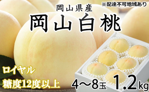 桃 2024年 先行予約 岡山 白桃 ロイヤル 4～8玉 約1.2kg JA おかやま のもも（早生種・中生種） もも モモ 岡山県産 国産 フルーツ 果物 ギフト 1040691 - 岡山県玉野市