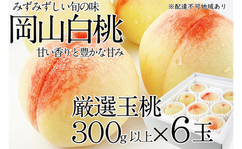 桃 2026年 先行予約 岡山の白桃 300g以上×6玉 白桃 旬 みずみずしい 晴れの国 おかやま 岡山県産 フルーツ王国 果物王国 夏の果物 果汁 とろける 上品な香り  1040738 - 岡山県玉野市
