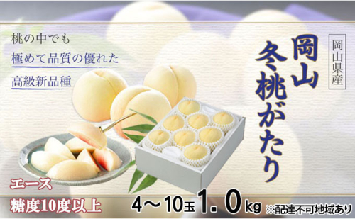 桃 岡山冬桃がたり エース 4～10玉 約1kg もも モモ 岡山県産 国産 フルーツ 果物 ギフト JA吉備路 デザート 食後 おやつ 新品種 希少 高級白桃 芳香な香り  1040745 - 岡山県玉野市