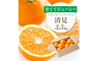 ミヤモトオレンジガーデンの「清見3.5kg」＜C25-129＞【1044409】