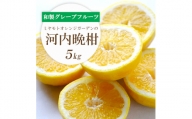 ミヤモトオレンジガーデンの「河内晩柑 5kg」＜C25-130＞【1151744】