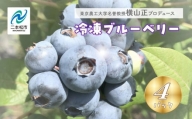 東京農工大学名誉教授「横山　正」ブランドのブルーベリー冷凍果実4パックセット（品種おまかせ）【東和ブルーベリー研究農園】
