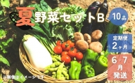 【予約受付/2024年産】夏野菜セットB (10品)【 2ヶ月 定期便 】 6・7月発送