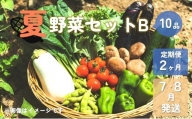 【予約受付/2024年産】夏野菜セットB (10品)【 2ヶ月 定期便 】 7・8月発送