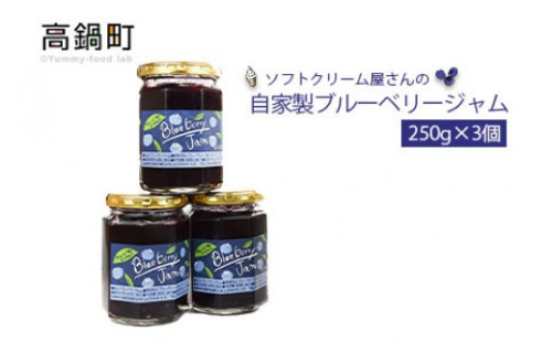 ＜ソフトクリーム屋さんの自家製ブルーベリージャム250g×3＞2か月以内に順次出荷 ジャム 3個 1041288 - 宮崎県高鍋町
