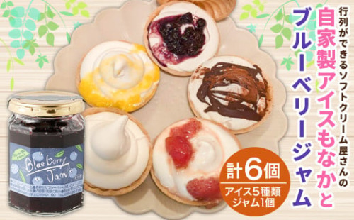 ＜自家製アイスクリームとブルーベリージャムのセット＞2か月以内に順次出荷 アイス ジャム セット ブルーベリー 1041289 - 宮崎県高鍋町