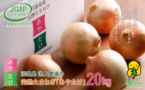 淡路島　池上農場の完熟たまねぎ「あやたけ」20kg　　[玉ねぎ 玉葱] 1041307 - 兵庫県淡路市