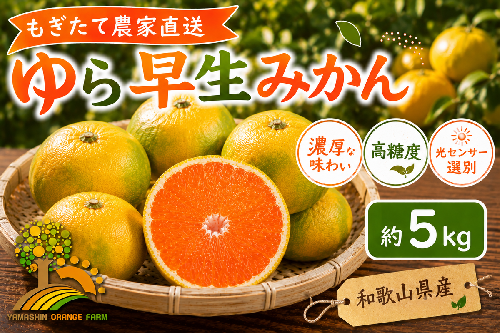 【先行予約】ゆら早生 みかん 濃厚な味わい 約5kg 希少品種《有機質肥料100％》極早生 ｜ 由良 ゆら 早生 わせ 柑橘 果物 くだもの フルーツ 和歌山 有田 1041320 - 和歌山県美浜町