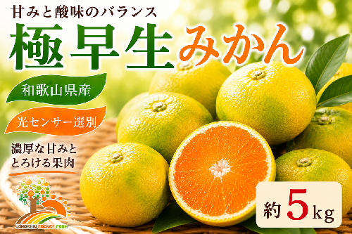 【先行予約】こだわりの極早生みかん 約5kg 農家直送 有機質肥料100% サイズ混合 ｜ みかん 極早生 早生 柑橘 果物 くだもの 果実 フルーツ 和歌山 有田 1041326 - 和歌山県美浜町