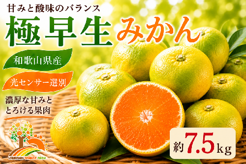 【先行予約】こだわりの極早生みかん 約7.5kg 農家直送 有機質肥料100% サイズ混合 ｜ みかん 極早生 早生 柑橘 果物 くだもの 果実 フルーツ 和歌山 有田 1041328 - 和歌山県美浜町