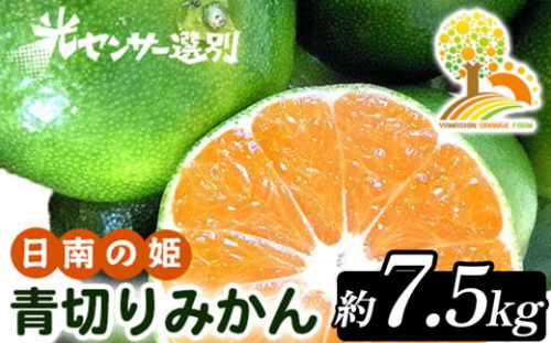 こだわりの青切りみかん 約7.5kg 農家直送 有機質肥料 100% サイズ混合 ｜ みかん 柑橘 果物 くだもの 果実 フルーツ 和歌山 有田 ※北海道・沖縄・離島への配送不可 ※2025年9月下旬～10月上旬頃に順次発送予定 1041329 - 和歌山県美浜町
