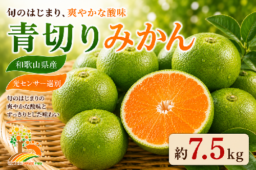 【先行予約】こだわりの青切りみかん 約7.5kg 農家直送 有機質肥料 100% サイズ混合 ｜ みかん 柑橘 果物 くだもの 果実 フルーツ 和歌山 有田 1041329 - 和歌山県美浜町