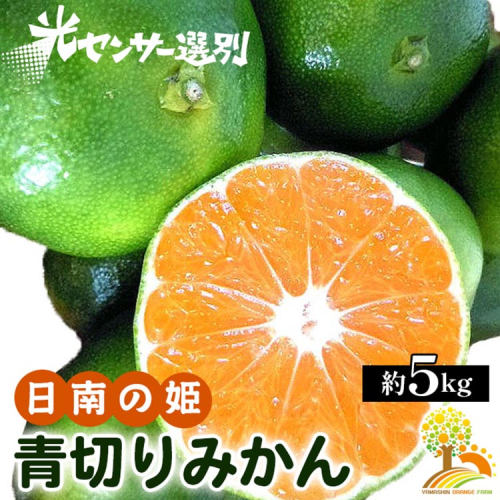 こだわりの青切りみかん 約5kg 農家直送 有機質肥料 100% サイズ混合 ｜ みかん 柑橘 果物 くだもの 果実 フルーツ 和歌山 有田 ※北海道・沖縄・離島への配送不可 ※2025年9月下旬～10月上旬頃に順次発送予定 1041334 - 和歌山県美浜町