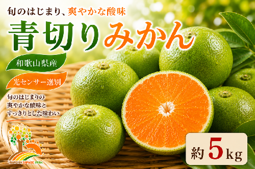 【先行予約】こだわりの青切りみかん 約5kg 農家直送 有機質肥料 100% サイズ混合 ｜ みかん 柑橘 果物 くだもの 果実 フルーツ 和歌山 有田 1041334 - 和歌山県美浜町