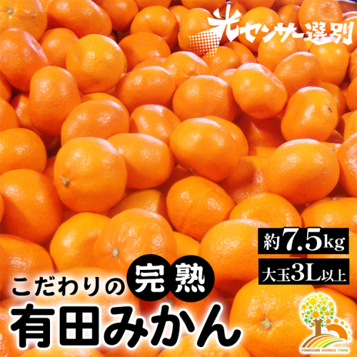 ＼光センサー選別／ 農家直送　有田みかん　約7.5kg 大玉3L以上　有機質肥料100% ※沖縄・離島への配送不可 ※2024年11月中旬～2025年1月上旬頃に順次発送予定 1041336 - 和歌山県美浜町