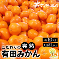 有田みかん 約10kg 大玉3L以上 有機質肥料100% ＼光センサー選別／ 農家直送 ※北海道・沖縄・離島への配送不可◇※2025年11月中旬～2026年1月上旬頃に順次発送予定