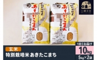 【玄米】令和5年産 特別栽培米あきたこまち 10kg(5kg×2袋)