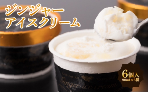 ジンジャー アイスクリーム 12個入 90ml×12個 1041692 - 熊本県八代市
