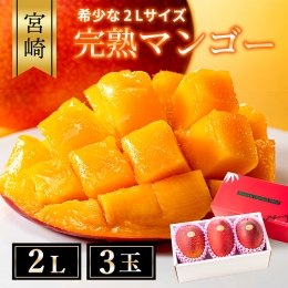 【ふるさと納税返礼品】甘くて柔らかくておいしいマンゴーのおすすめは？