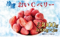 060-23　ビタミンC含有量No.1 完熟冷凍いちご　おいCベリー3kg以上