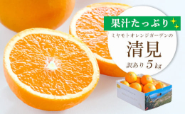 愛媛県内でも屈指のブランド産地である西宇和地区八幡浜市産の「清見」です。清見は、温州みかんとトロビタオレンジを掛け合わせてできた品種で、まさにみかんとオレンジの良いとこ取り!柔らかくとろ〜りとした果肉