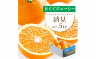 ミヤモトオレンジガーデンの「清見5kg」＜訳あり＞＜C25-138＞【1138006】