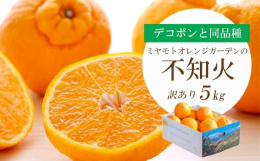愛媛県内でも屈指のブランド産地である西宇和地区八幡浜市産の「不知火」です。不知火(しらぬい)は、清見オレンジとポンカンが掛け合わされてできた品種です。凸の形が目印で、濃厚な甘味と酸味のバランスが絶妙。