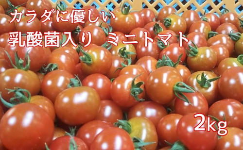 カラダに優しい「乳酸菌入り ミニトマト2kg」 104265 - 香川県東かがわ市