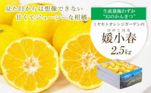 ＜2026年1月下旬頃より順次発送＞希少柑橘 媛小春(ひめこはる) 2.5kg＜C25-144＞【1378626】
