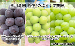 【配達不可：沖縄・離島】 ●先行予約●収穫時期になりましたら順次出荷します！ 黒川農園の自慢のぶどうは大粒、大房！ニューピオーネとシャインマスカット、瀬戸ジャイアンツの詰合せをそれぞれ旬な時期にお届け