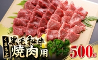 くまもと黒毛和牛 焼肉用 500g やきにく 焼き肉 国産 冷凍 熊本産 贅沢 牛肉【やまのや】[YDF022]