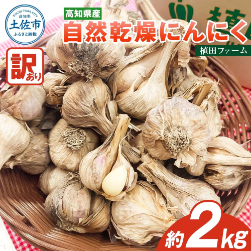 訳あり にんにく 約2kg 乾燥  1043582 - 高知県土佐市