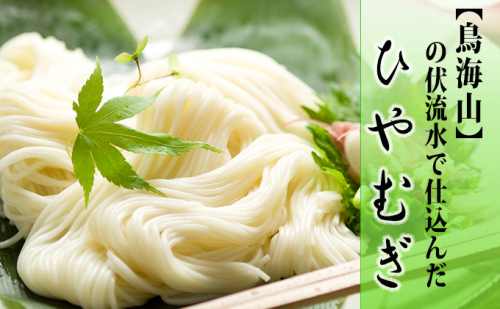 ひやむぎ5束(10人前)の定期便(11ヵ月連続) 麺類 冷麦 104369 - 秋田県にかほ市