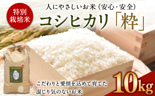 ＜令和6年度 特別栽培米「粋」コシヒカリ 10kg＞ ※入金確認後、翌月末迄に順次出荷します。 こしひかり お米 米 白米 精米 宮崎県 高鍋町 1043845 - 宮崎県高鍋町
