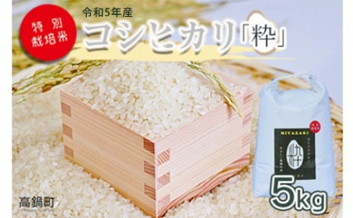 ＜令和5年度 特別栽培米「粋」コシヒカリ 5kg＞ ※入金確認後、翌月末迄に順次出荷します。 米 こしひかり 1043846 - 宮崎県高鍋町