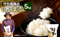 【令和5年産】相良村産 特別栽培米 にこまる 5kg