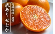 C48-50.愛媛・八幡浜産「高級柑橘・せとか：3kg」【訳あり】