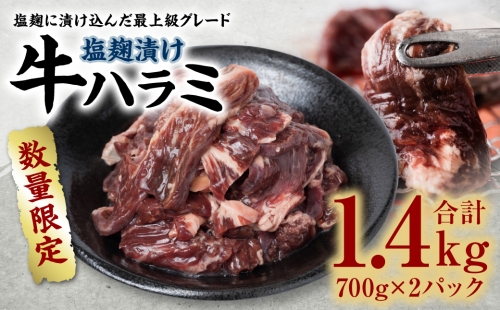 【数量限定】塩麹漬け 牛ハラミ 1.4kg 焼肉用 1044233 - 熊本県八代市