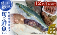 【定期便12ヶ月 】天然のいけす 富山湾 氷見漁港 旬の鮮魚セット 直送 詰め合わせ 鮮魚ボックス 富山県 氷見市