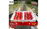 【先行予約】伊万里産　特選「 いちごさん 」　450ｇ 以上× 2パック　～鶴田農園～ B497