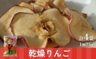 乾燥りんご 25g ×4袋　富山県 氷見市 ドライフルーツ 乾物 林檎 保存  スナック お菓子 スイーツ おやつ ネコポス