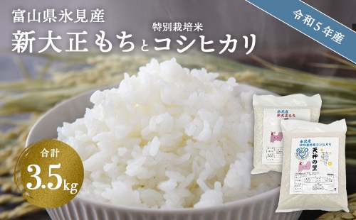 富山県氷見産 新大正もち（1.5kg）と特別栽培米コシヒカリ（2kg）のセット 天神の里 1044636 - 富山県氷見市