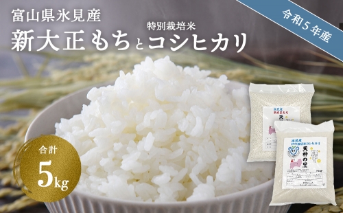 富山県氷見産 新大正もち（3kg）と特別栽培米コシヒカリ（2kg）のセット 天神の里 1044639 - 富山県氷見市