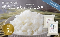 富山県氷見産 新大正もち（3kg）と特別栽培米コシヒカリ（2kg）のセット 天神の里