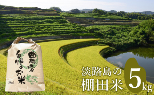 淡路島の棚田米 ５kg　　[精米 白米] 1044882 - 兵庫県淡路市