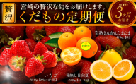 [2026年発送先行予約][数量・期間限定]青果店厳選!「3ヶ月お届け!くだもの定期便Vol.2」