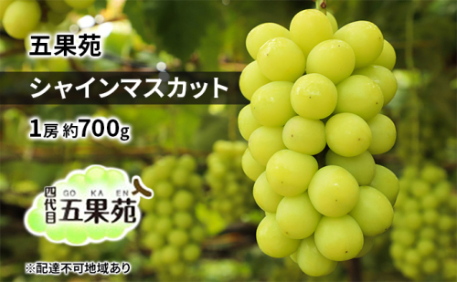 ぶどう 2025年 先行予約 シャイン マスカット 1房 約700g  ぶどう フルーツ 果物 贈り物 ギフト 岡山 五果苑 1045251 - 岡山県玉野市