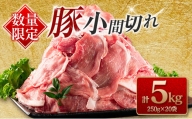 ≪数量限定≫豚小間切れ(計5kg)　肉　豚　豚肉　国産 CC43-23