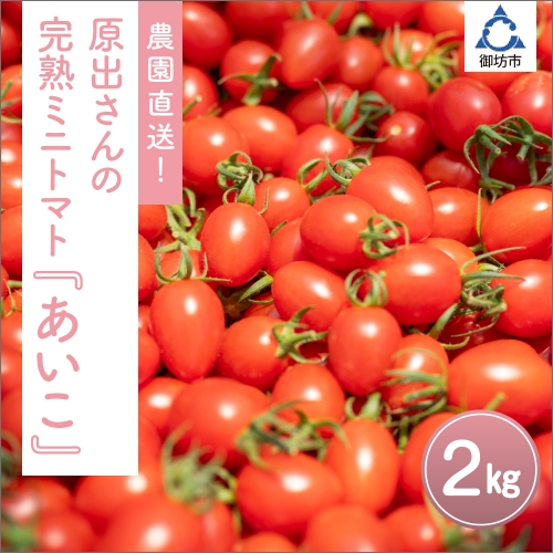 農園直送！原出さんの完熟ミニトマト（あいこ） 104578 - 和歌山県御坊市